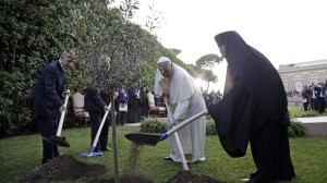Shimon Peres, Abu Mazen, Papa Francesco, Bartolomeo I piantano un ulivo